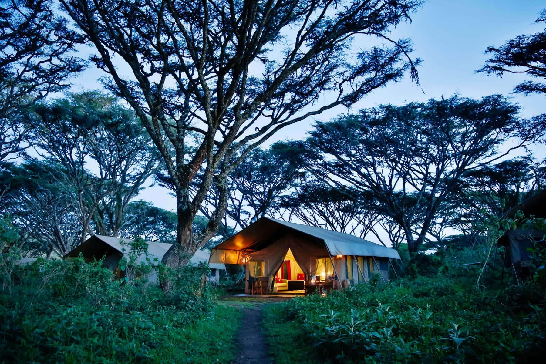 Ngorongoro Tented Camp