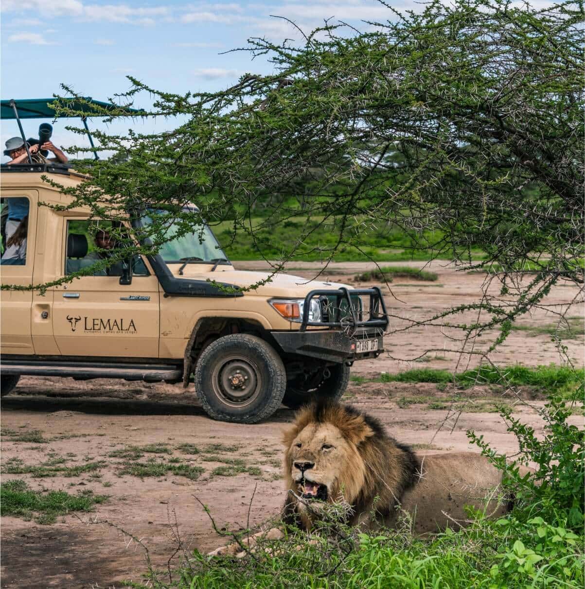 Lemala Ndutu Mobile Tented Camp, Serengeti National Park, Tanzania - 2023 /  2024