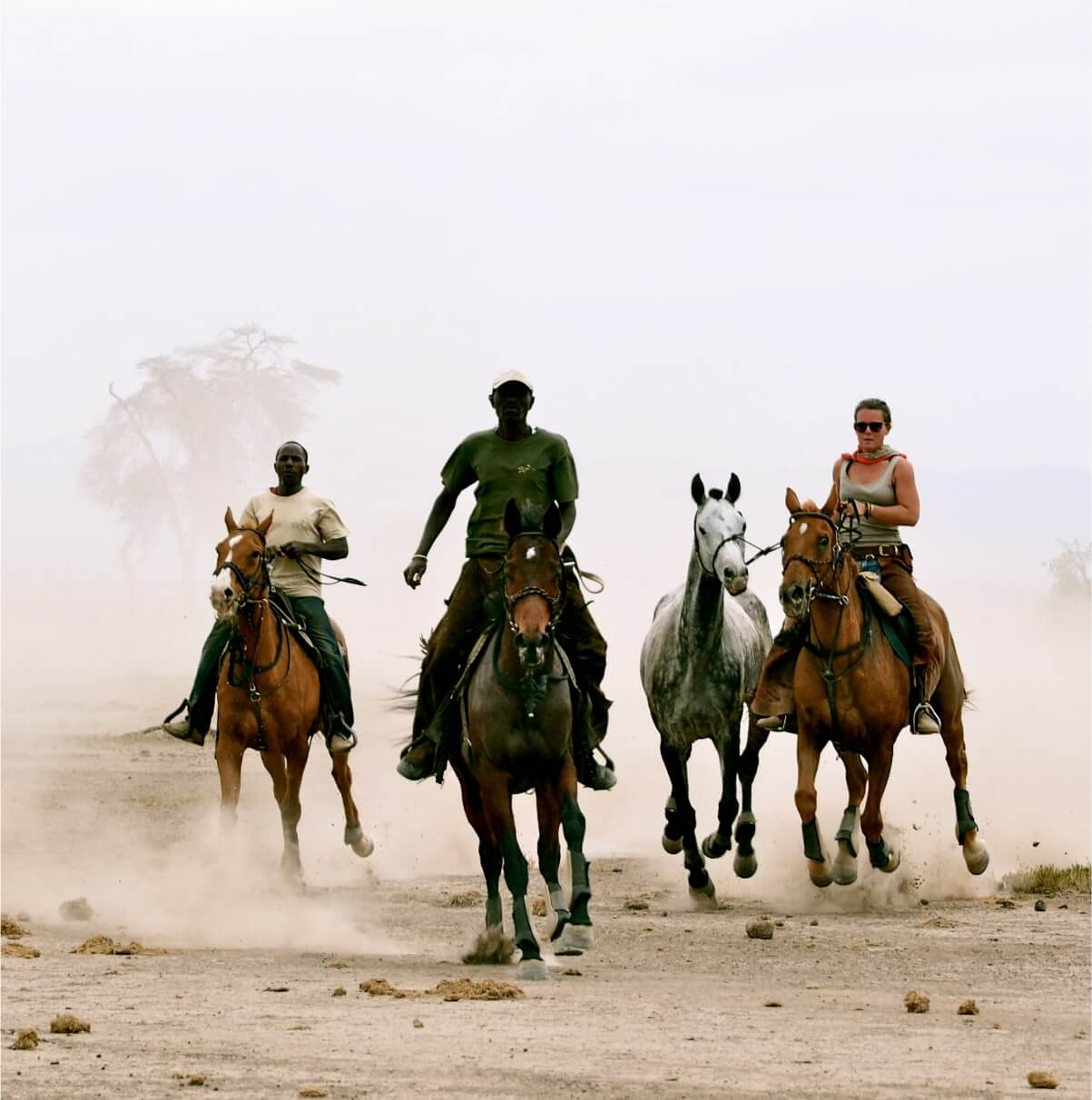 Horse Riding | Our Experiences | Lemala Camps & Lodges Horse Riding | Our Experiences | Lemala Camps & Lodges